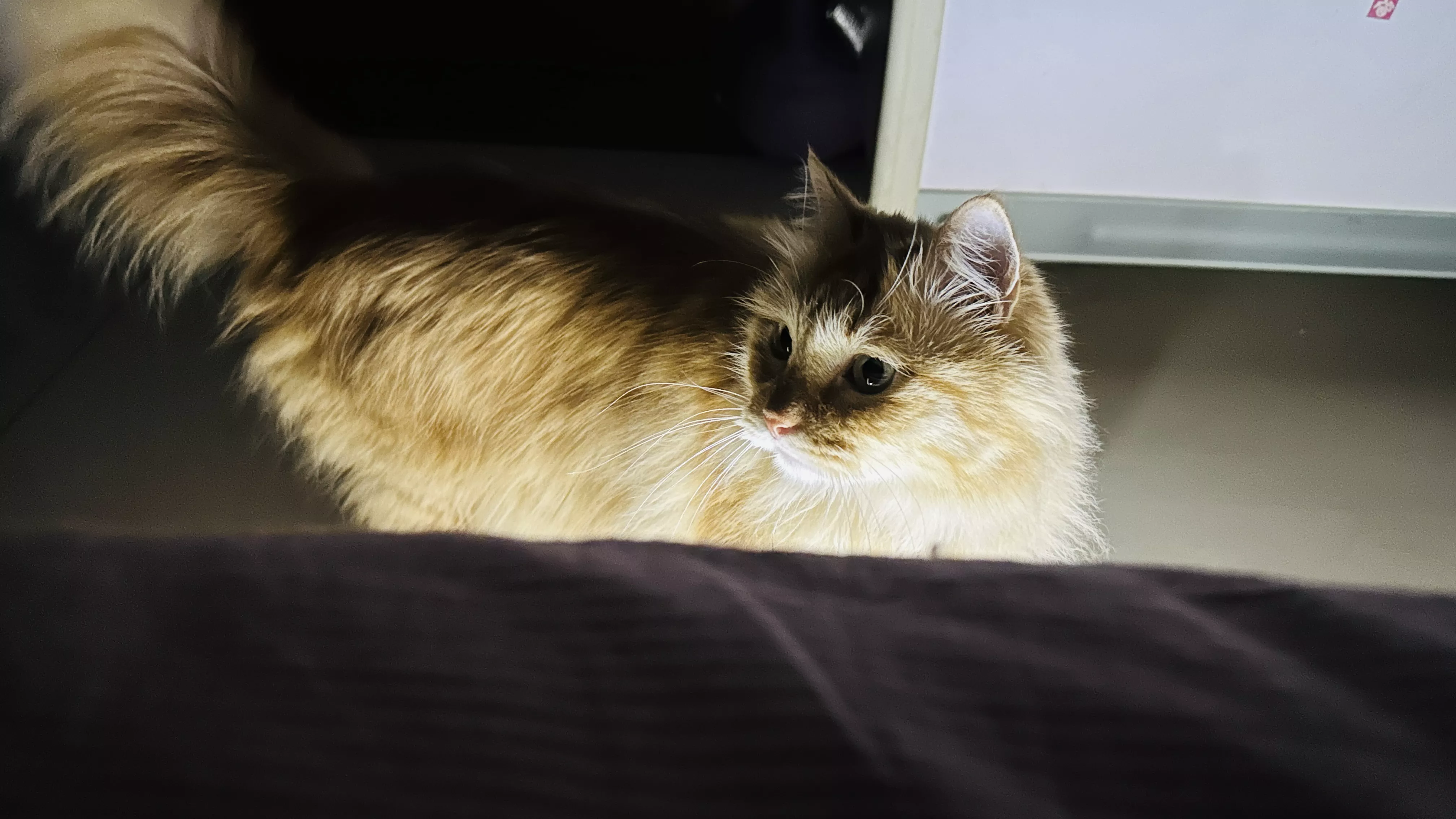 我家的大缸